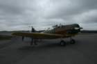 utdrekk061_small.jpg