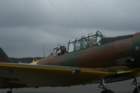 utdrekk075_small.jpg