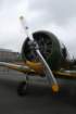 utdrekk079_small.jpg