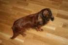 desember08008_small.jpg