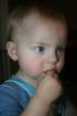 desember08091_small.jpg