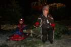 desember08100_small.jpg