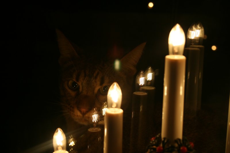 desember08234.jpg