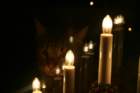 desember08234_small.jpg