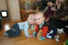 feb008_small.jpg