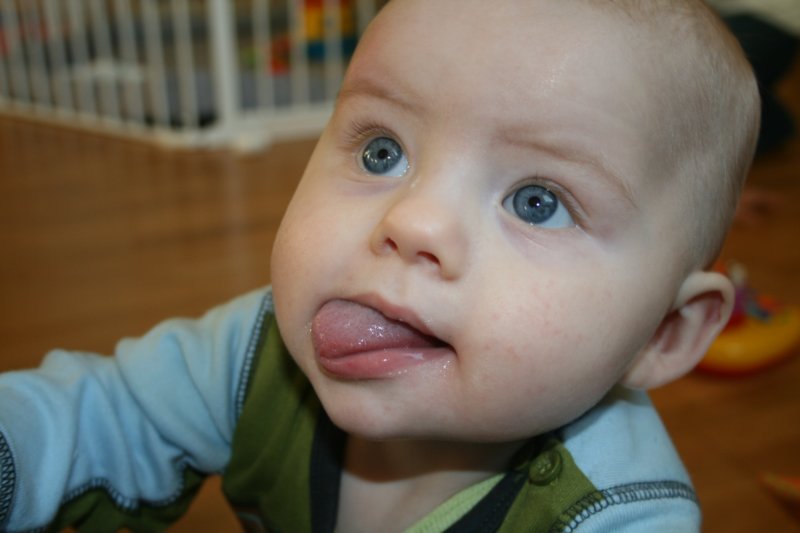 feb020.jpg