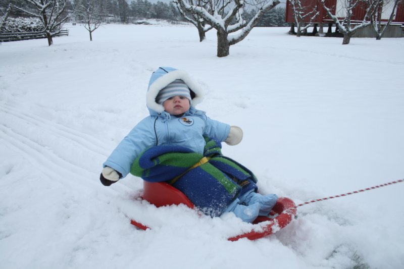feb055.jpg