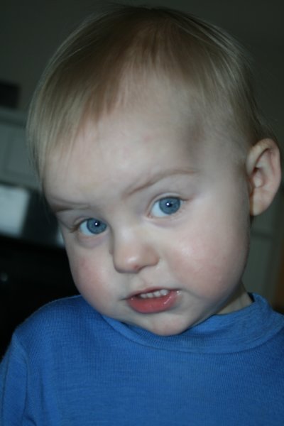 janfeb09027.jpg