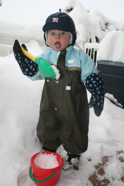 janfeb09035.jpg