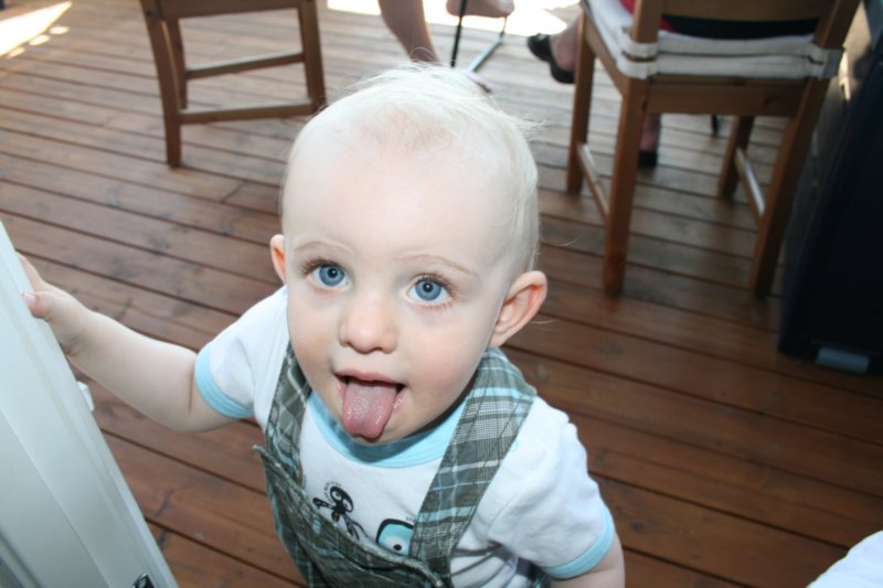 juni08020.jpg
