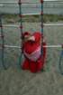 juni08076_small.jpg