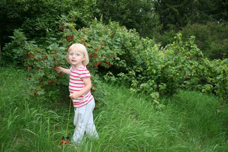 ferie07062.jpg