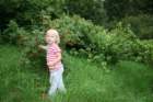 ferie07062_small.jpg
