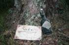 ferie07064_small.jpg