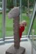 ferie07147_small.jpg