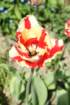 img_4450_small.jpg