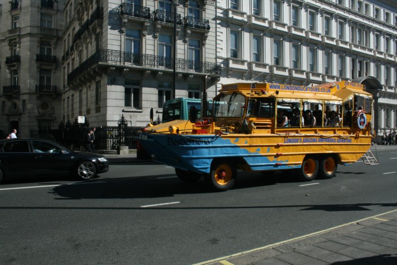 mai174.jpg