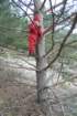 pske08044_small.jpg