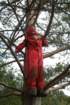 pske08053_small.jpg