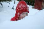 pske08099_small.jpg