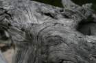 fyresdal07004_small.jpg
