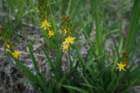 fyresdal07025_small.jpg