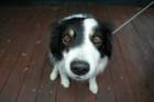 fyresdal07042_small.jpg