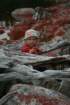 fyresdal07049_small.jpg