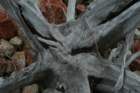 fyresdal07053_small.jpg