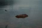 fyresdal07058_small.jpg