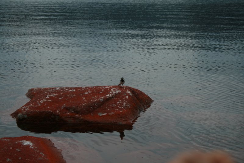 fyresdal07061.jpg