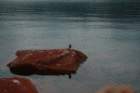 fyresdal07061_small.jpg