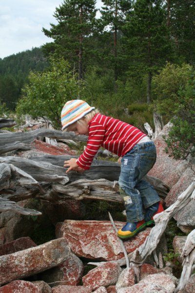 fyresdal07073.jpg