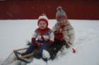 november08109_small.jpg