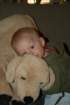 img_5390_small.jpg
