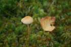 img_5781_small.jpg