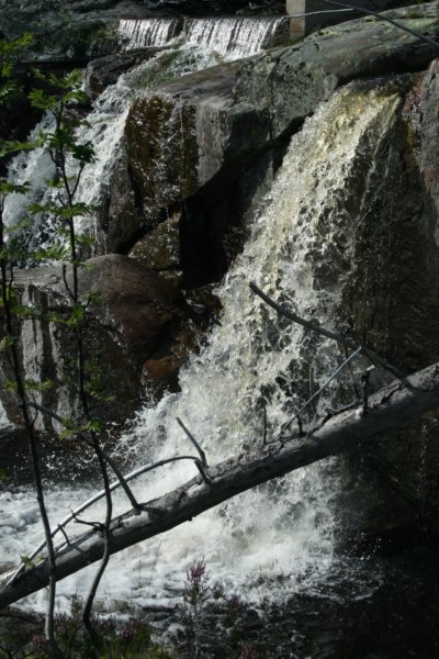 img_5817.jpg