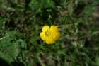 august038_small.jpg