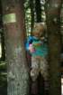 august043_small.jpg