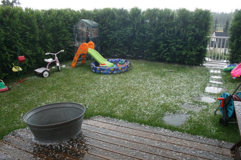 august328.jpg