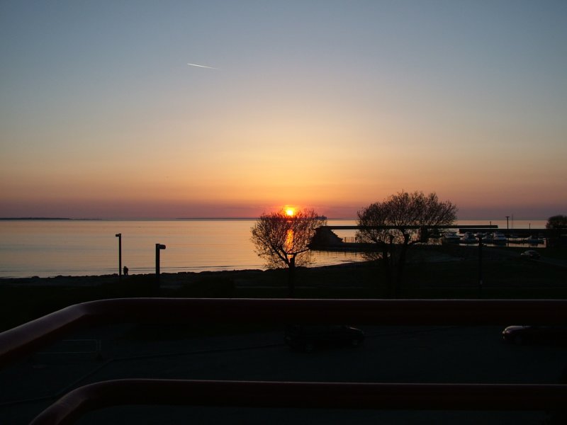 estland06001.jpg