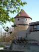 estland06019_small.jpg