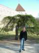 estland06022_small.jpg