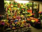 estland06035_small.jpg