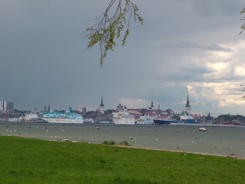 estland06142.jpg