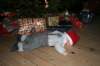 jula07006_small.jpg