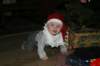 jula07008_small.jpg