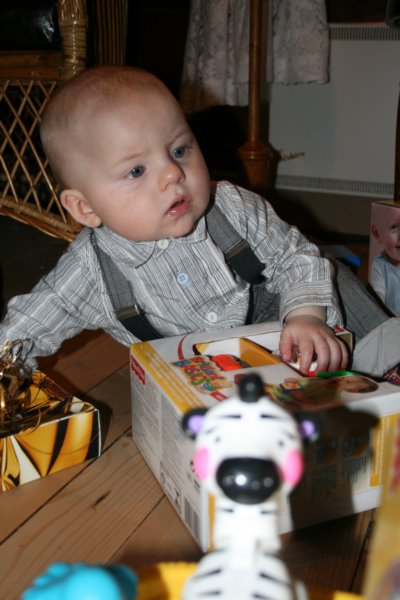 jula07042.jpg