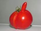 tomat007_small.jpg