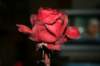oktober07131_small.jpg